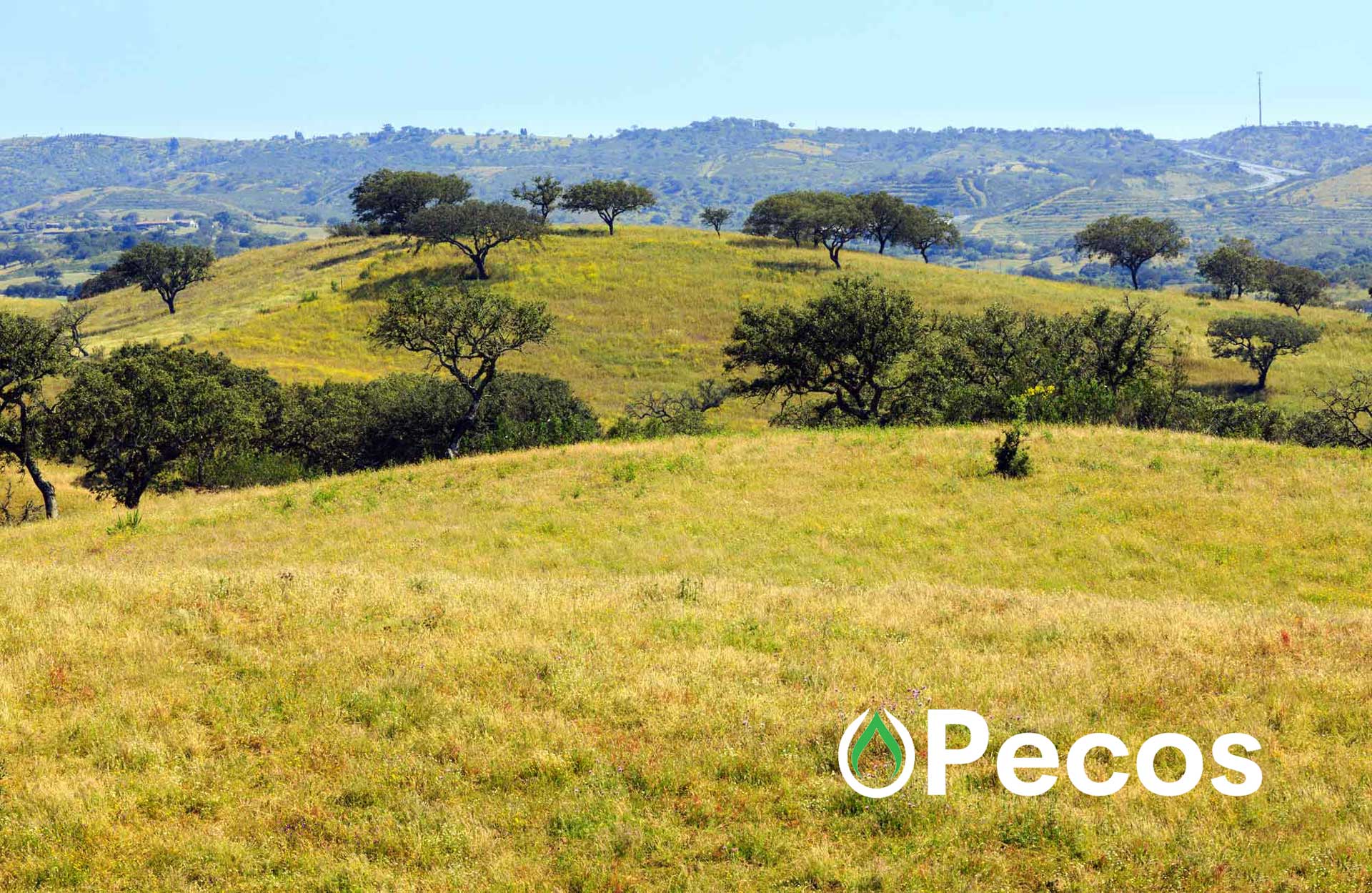 Pecos-Texas-Countryside Pecos-Texas-Countryside